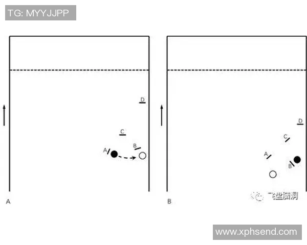 深圳飞盘队的区域防守体系解析与战术应用探讨