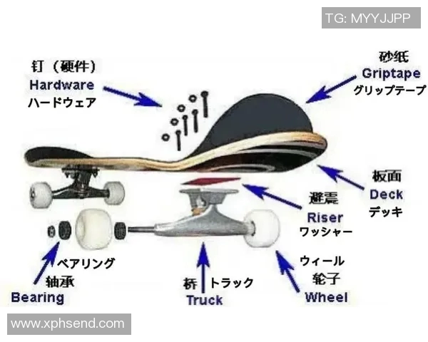 滑板文化的崛起与挑战：深入探讨上海滑板队的运营模式与发展策略